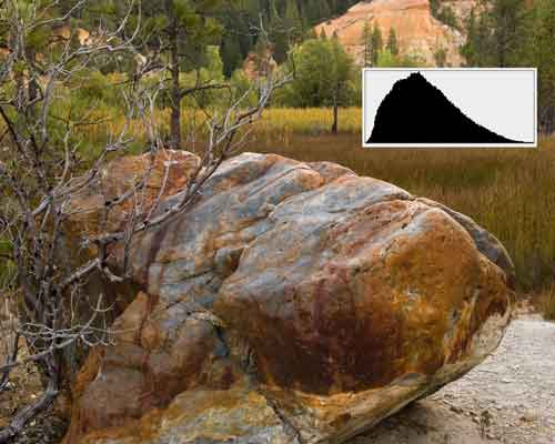 Bell Curve